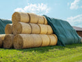 AGRI plus Strohvlies 9,8 × 12,5 m I Stabiles 140 g/m2 Schutzvlies aus Polypropylen I