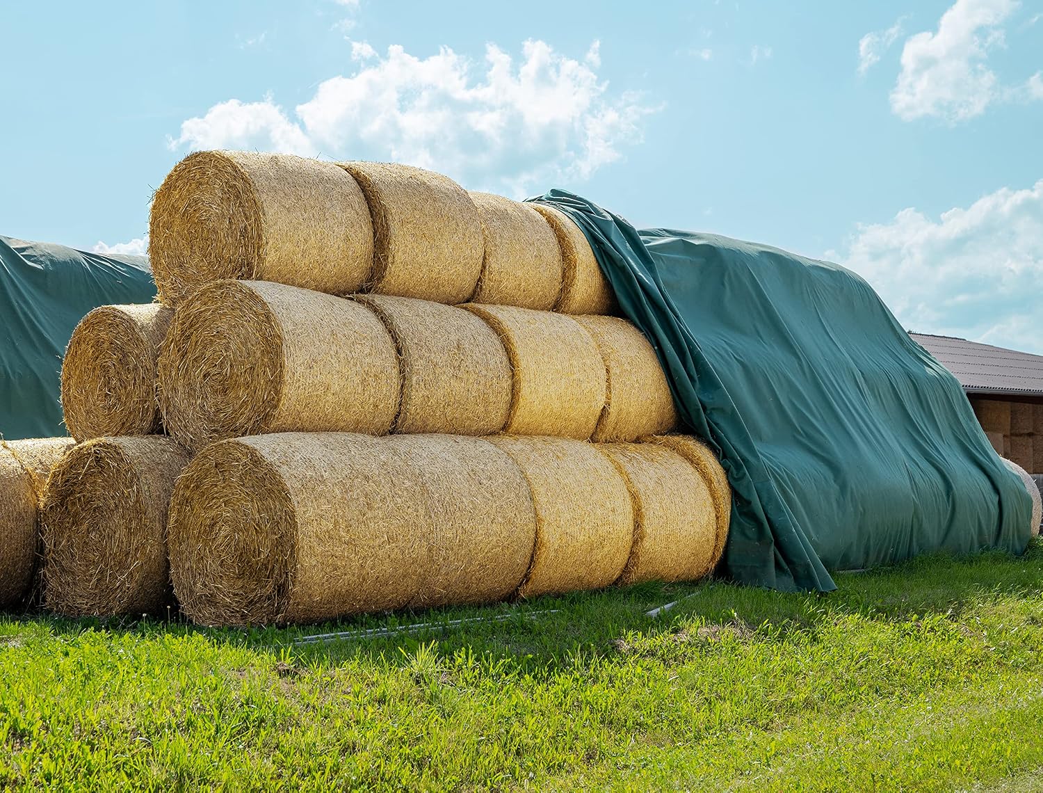 AGRI plus Strohvlies 9,8 × 12,5 m I Stabiles 140 g/m2 Schutzvlies aus Polypropylen I